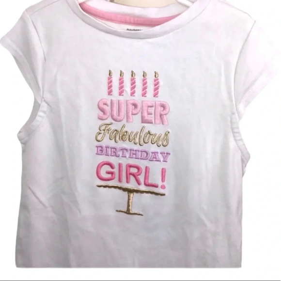 GYMBOREE EUC GIRLS TSHIRT BIRTHDAY TOP SHIRT SUMMER CASUAL WHITE PINK SIZE 7 - Picture 2 of 4